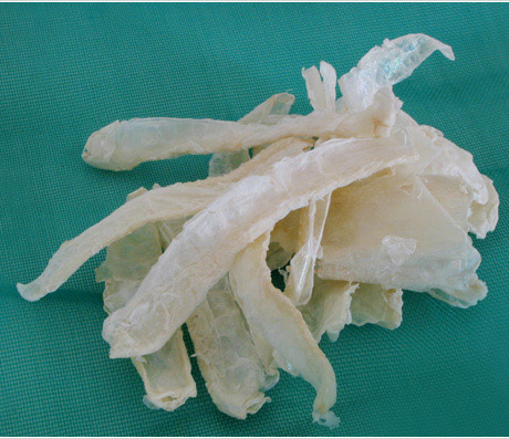 Chitosan - Herbal Extracts