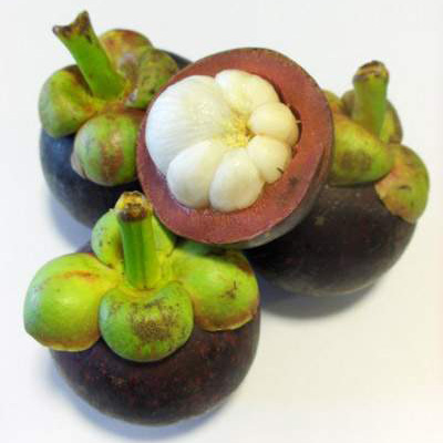 Mangosteen Peel Extract - Herbal Extracts