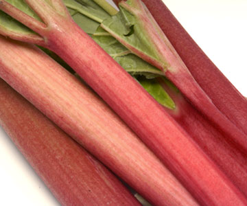 Rhubarb Extract - Herbal Extracts