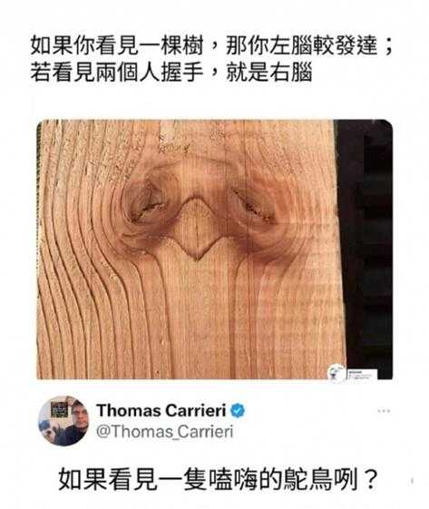 端午假期就要结束了 囧图 居然还有人没见过杂粽