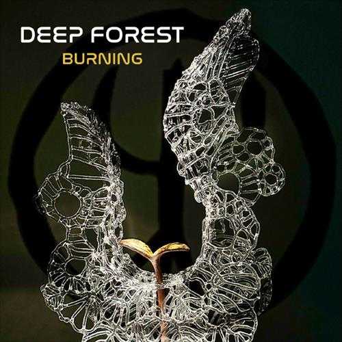 【新世纪】DeepForest-2023-Burning[FLAC]