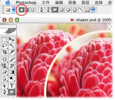 Photoshop入门：各种形状工具绘制形状