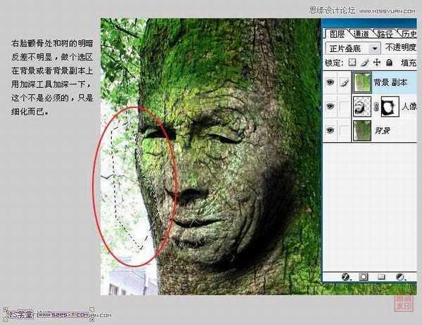photoshop将人像合成到古树里面的教程