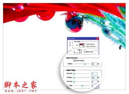 PS教你制造出花瓣上水滴透视效果