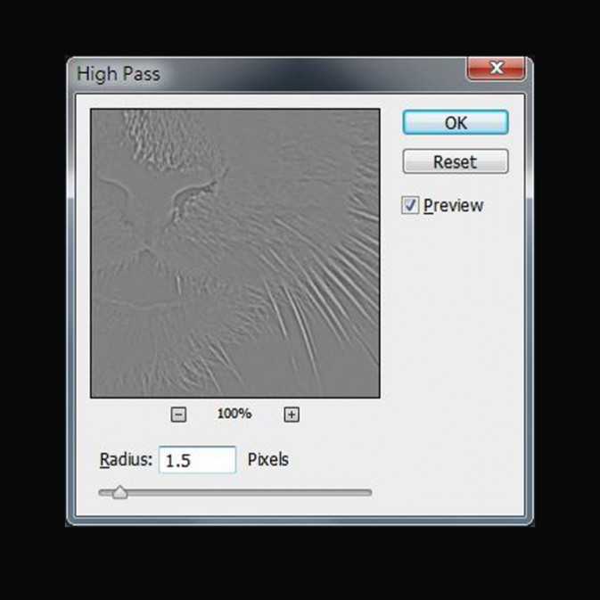 PS利用HIGH PASS FILTER高效无损地锐利猫咪照片