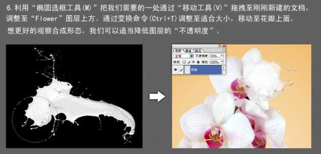 Photoshop快速给花朵加上喷溅牛奶教程