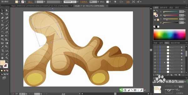 ai怎么手绘生姜? ai生姜素材矢量图的画法
